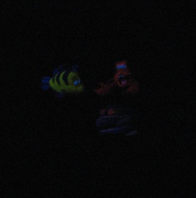 5 Little Mermaid.jpg