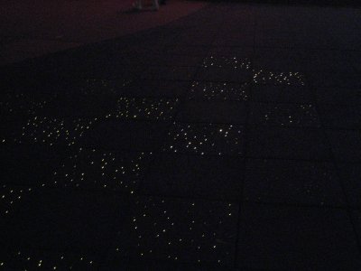 33b sparkly floor.jpg