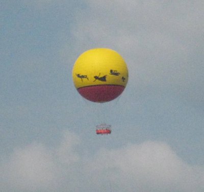 4 hot air balloon overhead.jpg