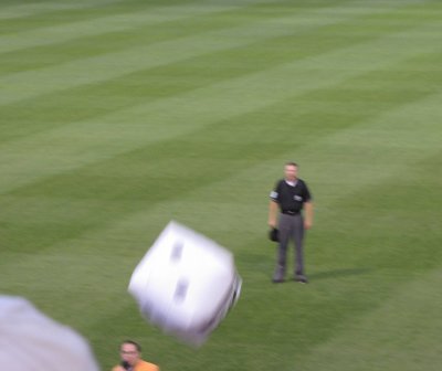 Ducks game 10.jpg