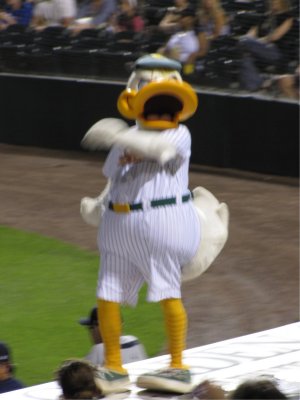 Ducks game 13.jpg