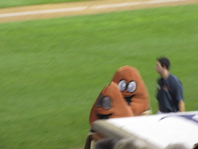 Ducks game 15.jpg