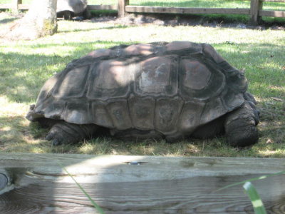 IMG_4616 - Copy.JPG