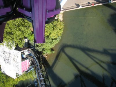 IMG_4937.JPG