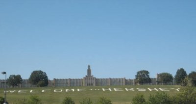 IMG_4981.JPG