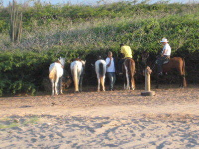 IMG_5312.JPG