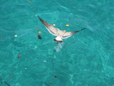 IMG_5225.JPG