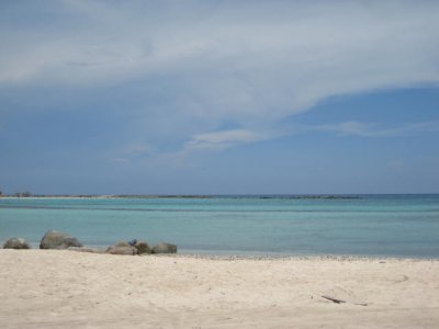 IMG_5277.JPG