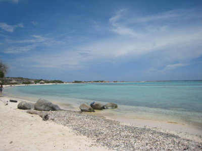 IMG_5278.JPG