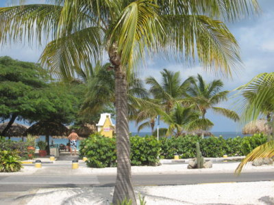 IMG_5396.JPG