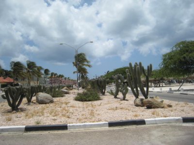 IMG_5164.JPG