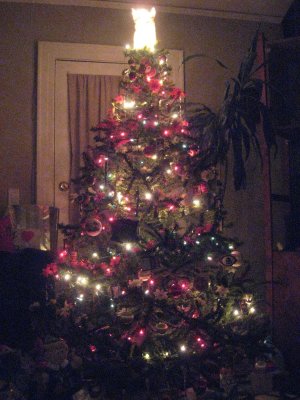 IMG_5928.JPG