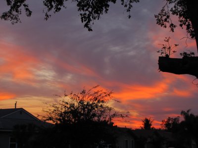 IMG_1814.JPG