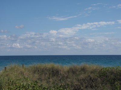 IMG_1834.JPG