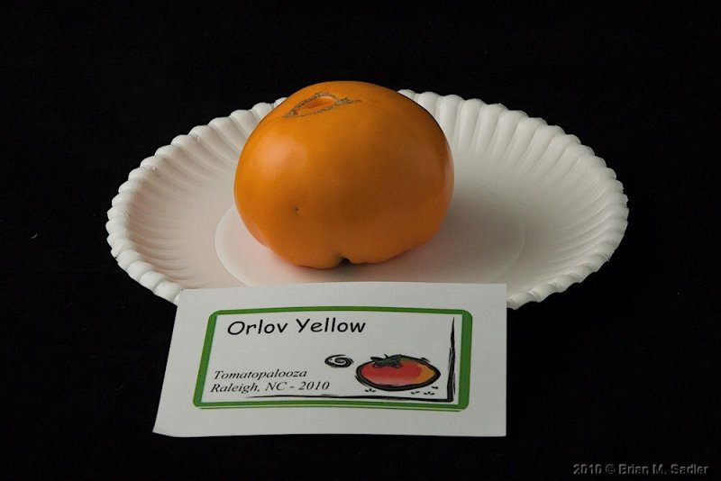 Orlov Yellow.jpg