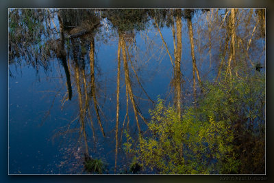 Reflections 02