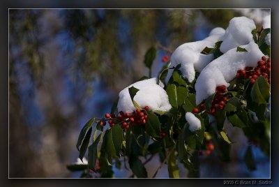Winter 02.jpg