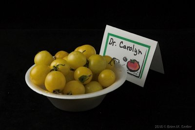 Dr. Carolyn.jpg