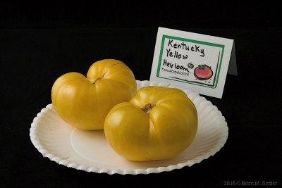 Kentuky Yellow Heirloom.jpg