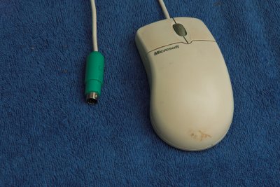Mouse A 01.jpg