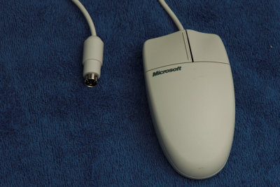 Mouse B 01.jpg