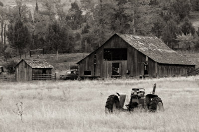 Barn  Tractor 2223_1 sf.jpg