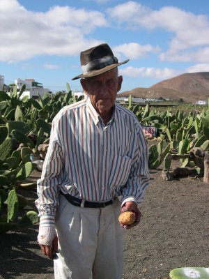 canary_islands__iles_canaries