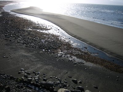 The beach.