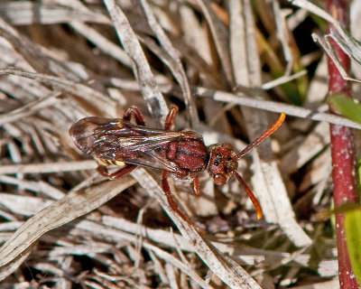 g1/55/932855/3/125431119.pEowtzWY.jpg