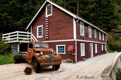 Vancouver Island Images