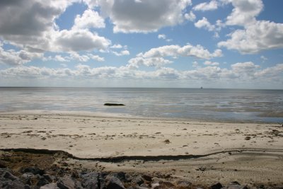 Waddenzee - Wadden sea (NL)