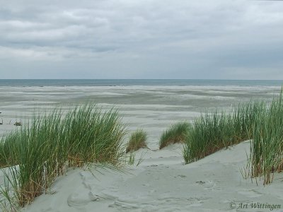 Terschelling (NL)