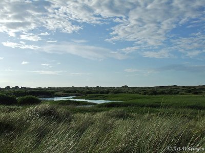 Terschelling (NL)