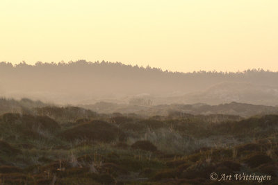 Terschelling (NL)