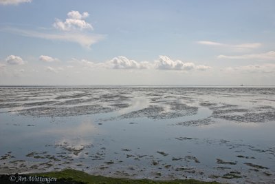 Waddenzee - Wadden sea  Terschelling (NL)