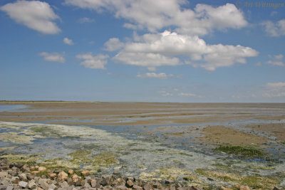 Waddenzee - Wadden sea  Terschelling (NL)