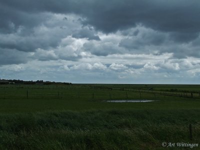 Polder bij Lies - Terschelling (NL)