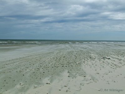 Noordzee strand - Terschelling (NL)