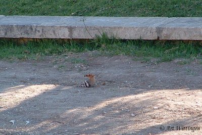 g1/55/947955/3/127970302.qRpysONc.jpg