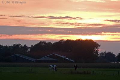 Zonsondergang op de boerderij / Sunset at the Farm