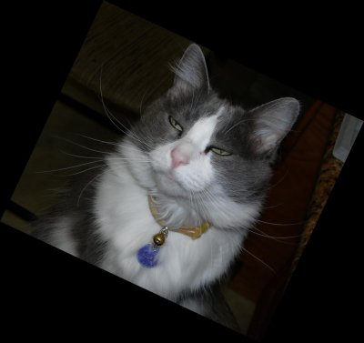 I'm tired of you guys making jewelry. When is someone going to show ME some attention?