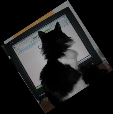 Let me help. I'm really good at database entry!