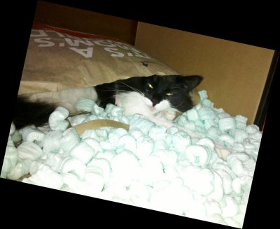 You mean this packing material isn't for me?