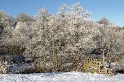 winter 2010 - hawe frost