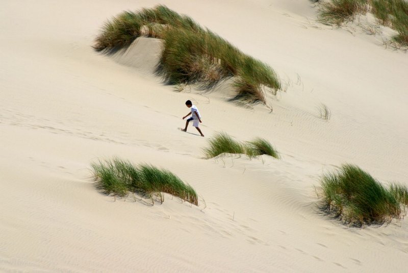 Oregon Dunes National Recreation Area