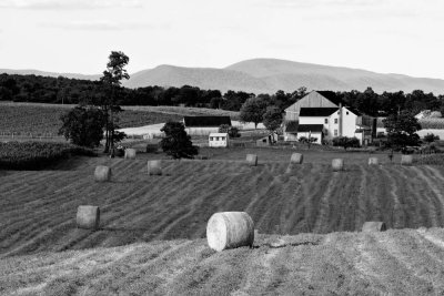 Kish Valley Farm #2, Central PA