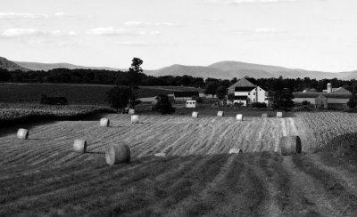 Kish Valley Farm #1, Central PA