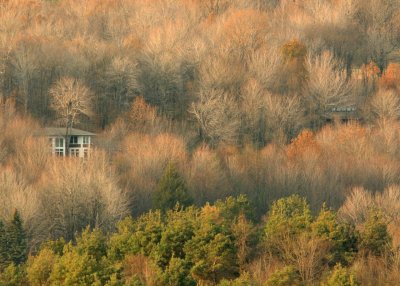 View of house from Yellow Creek Lake