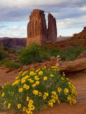 Arches NP -- Courthouse Tower in the Spring