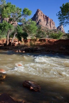 Virgin River, Zion NP